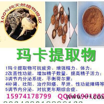 瑪卡提取物 瑪咖的功效 MACA