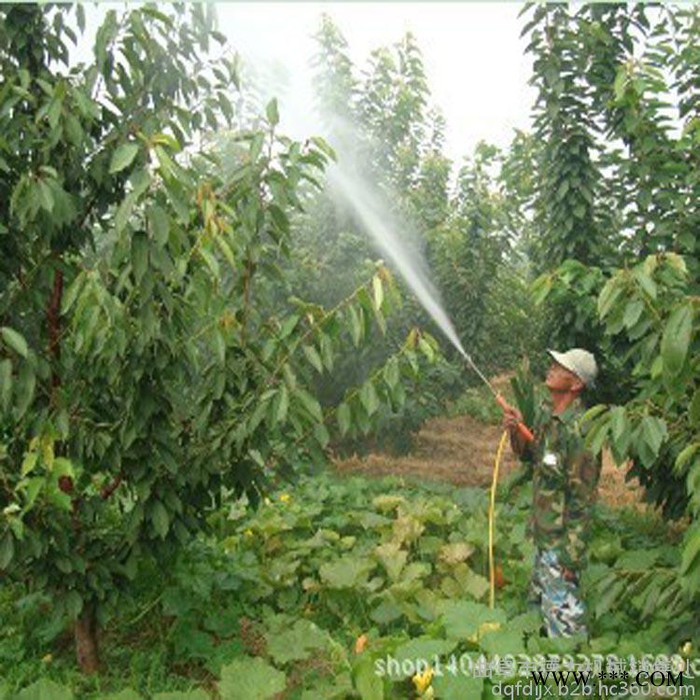 ** 山藥均勻不傷種子花生包衣機 新款飼料攪拌機