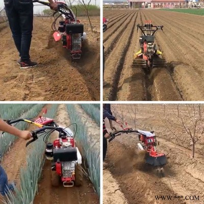 山藥開荒培土機(jī) 新型苗圃開溝培土機(jī) 手扶式大蔥開溝培土管理機(jī)