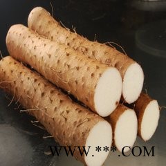 青潤生物   專業生產山藥提取物10:1