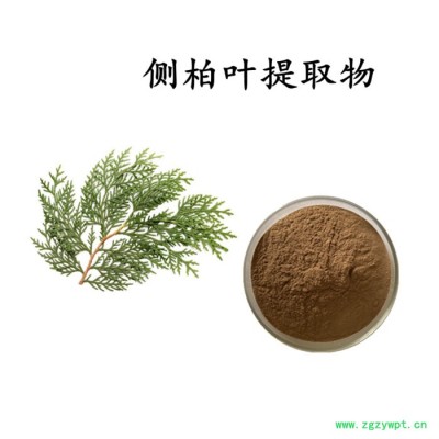 牛膝提取物 牛膝浸膏粉  水溶 可定制