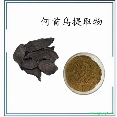 斯諾特 姜黃提取物 姜黃濃縮粉  水溶 99%