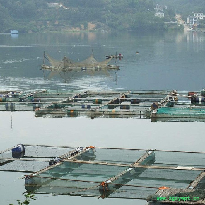 【永宏】  可定做  水蛭養殖網箱  魚苗蝦網箱  繁殖孵化網箱   泥鰍養殖網箱  黃鱔網箱