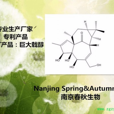 供應(yīng) 98%巨大戟萜醇 |30220-46-3|Ingenol 南京春秋生物-賈經(jīng)理 高純植提廠家 大戟是我們的主打產(chǎn)品