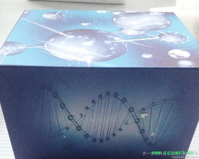 蘇云金芽孢桿菌蛋白(BT)ELISA 試劑盒（免費代測）