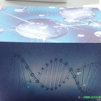 蘇云金芽孢桿菌蛋白(BT)ELISA 試劑盒（免費代測）