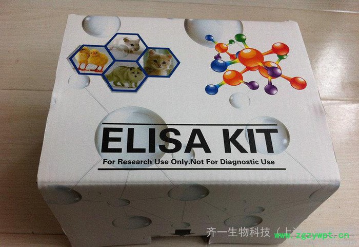 兔子中性粒細胞彈性蛋白酶(NE)ELISA 試劑盒 國產EL