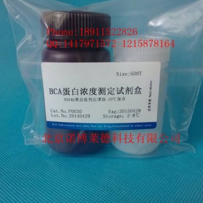 供應  NobleRyder  P0030BCA蛋白濃度測定試劑盒 Nob