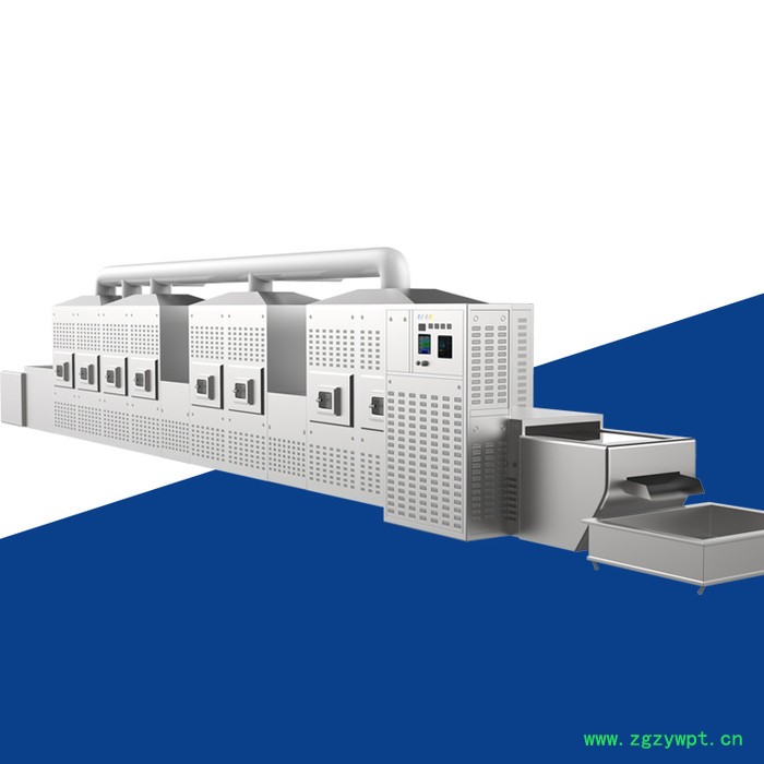 山東瑞晨廠家供應  椰蓉微波滅菌設備