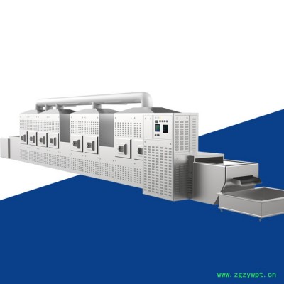 山東瑞晨廠家供應  椰蓉微波滅菌設備