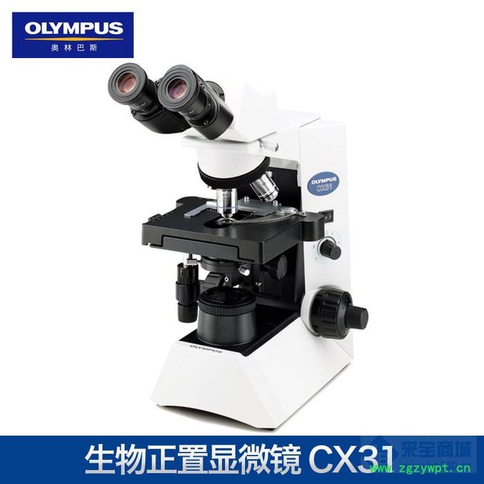 Olympus/奧林巴斯 顯微鏡CX33 三目**