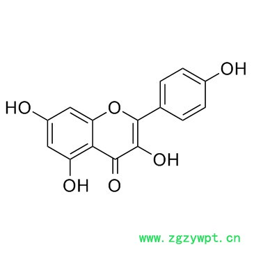 山柰酚98% 槐角提取物 CAS:520-18-3 kaempferol 現貨 10g/袋