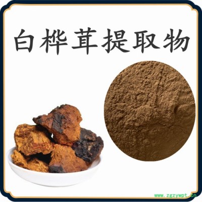 白樺茸提取物   可定制  水溶性  白樺茸粉廠家