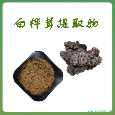 白樺茸濃縮粉 水溶 可定制 白樺茸提取物廠家