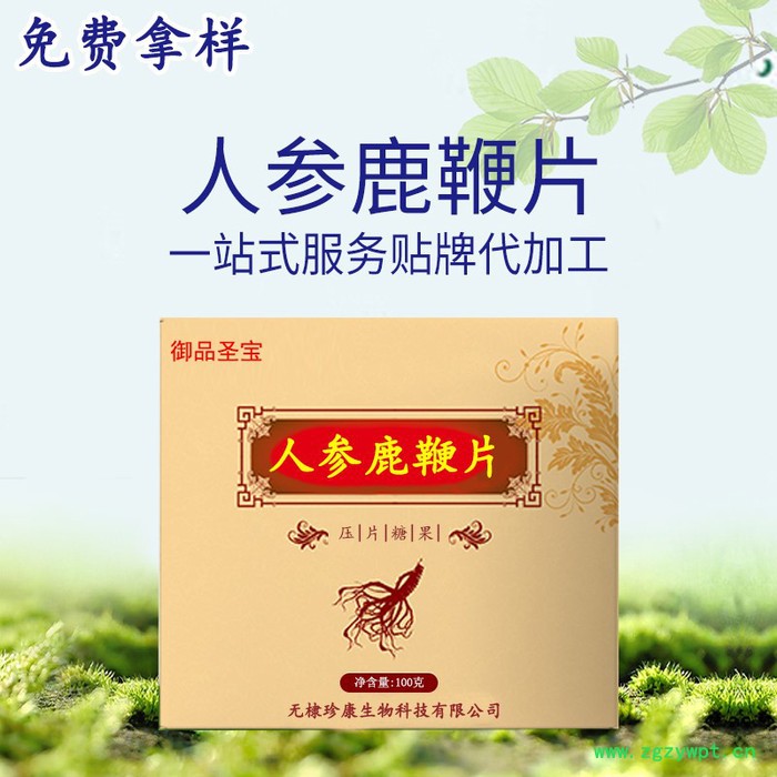 成人男性食品鹿鞭片 黃精牡蠣肽人參蛹蟲草 片劑貼牌代加工oem