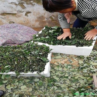 苗豆兒新款原味海藻糖發酵軟餅干寶寶罐裝60g 寶寶兒童零食