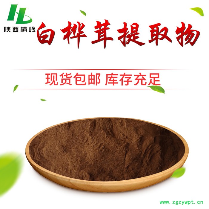 橫嶺批發 白樺茸提取物 白樺茸濃縮粉 白樺茸多糖 白樺茸浸膏粉 水溶性