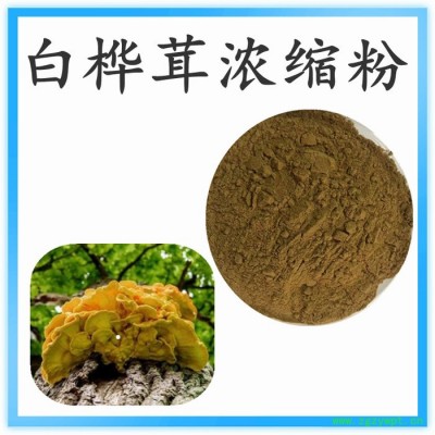 白樺茸粉   可定制  水溶性  白樺茸濃縮粉廠家