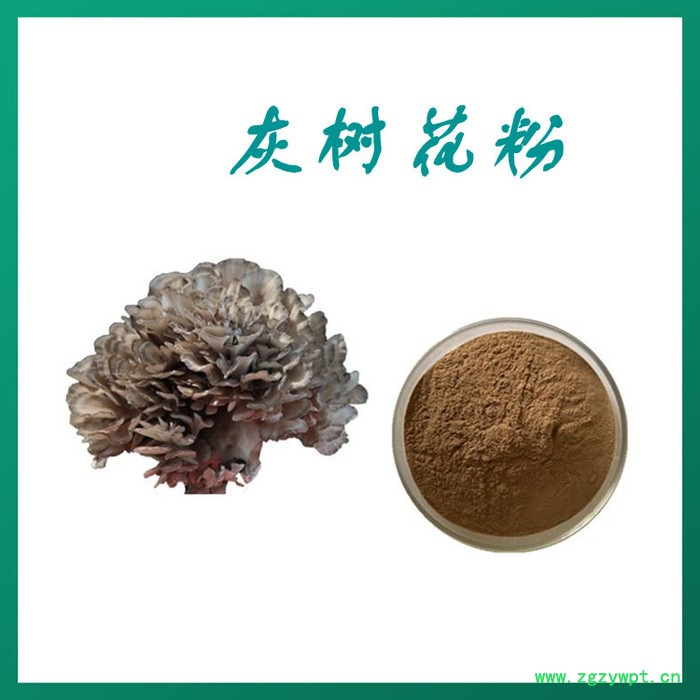 灰樹(shù)花提取物 水溶 可定制 灰樹(shù)花濃縮粉廠(chǎng)家 灰樹(shù)花多糖