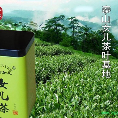 泰安日出女兒茶  泰山女兒茶綠茶罐裝 茶葉 山東泰山特產 高山云霧茶日照足