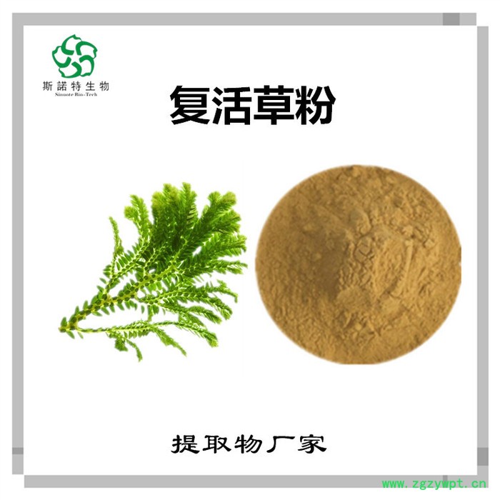 牛黃速溶粉 牛黃濃縮粉 生產(chǎn)廠家 斯諾特