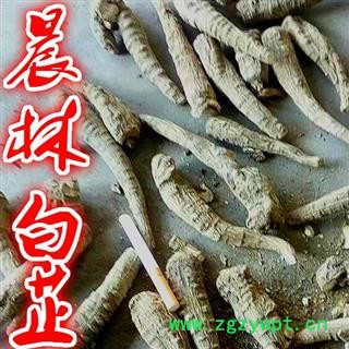 川白芷之遂寧白芷原裝統(tǒng)貨 道地白芷 產(chǎn)地直銷 常年有大貨 遂寧市船山區(qū)