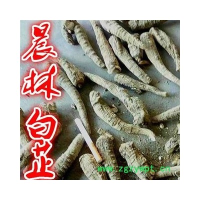 川白芷之遂寧白芷原裝統(tǒng)貨 道地白芷 產(chǎn)地直銷 常年有大貨 遂寧市船山區(qū)