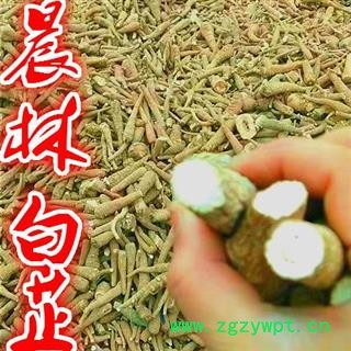 川白芷之遂寧白芷紅皮無(wú)硫小統(tǒng)貨 道地白芷 常年有大貨 產(chǎn)地直銷 遂寧市船山區(qū)