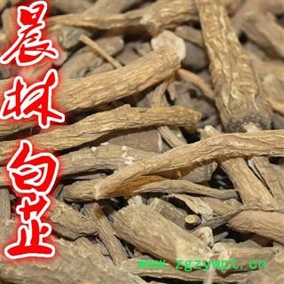 川白芷之遂寧白芷節(jié)尾 藥廠投料打粉 道地白芷 產(chǎn)地直銷 常年有大貨 遂寧市船山區(qū)