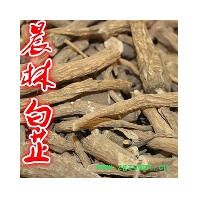 川白芷之遂寧白芷節(jié)尾 藥廠投料打粉 道地白芷 產(chǎn)地直銷 常年有大貨 遂寧市船山區(qū)