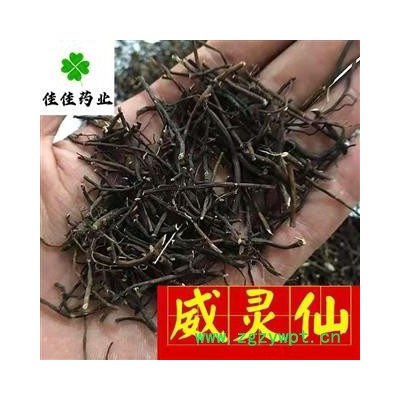 正品威靈仙 選裝威靈仙根 無頭 純根 含量高 供應(yīng)大貨 產(chǎn)地 遼寧省