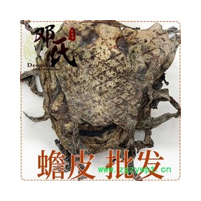 蟾皮 干蟾皮 蟾衣 癩蛤蟆皮 蟾蜍皮 統(tǒng)貨 產(chǎn)地 遼寧省 鄧氏尚品中藥材批發(fā)