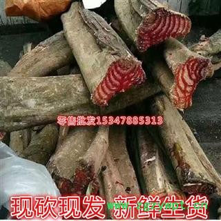 新鮮雞血藤 野生生品雞血藤 網狀雞血藤 整條砍砍藥 根子藥 跑江湖 地攤藥