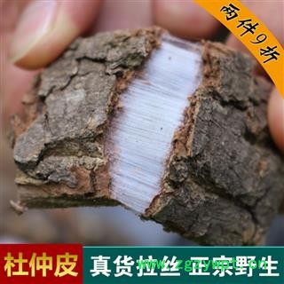 杜仲皮野生老樹厚皮1000g秦嶺源產(chǎn)地杜仲