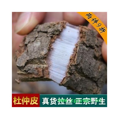 杜仲皮野生老樹厚皮1000g秦嶺源產(chǎn)地杜仲