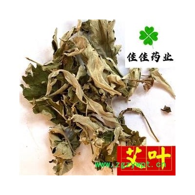 艾葉 選裝 大艾葉 部分貨物會有自然桿 產地 山東省 有大貨 新貨 味道好 品質保證 批發各類中藥材