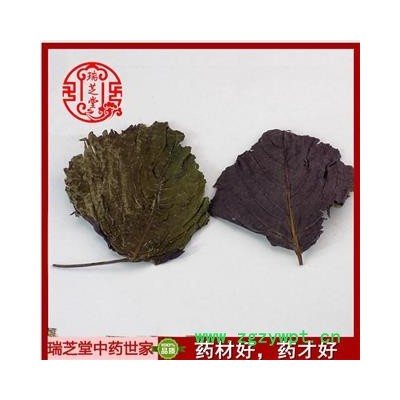 紫蘇葉 統(tǒng)貨  紫蘇葉中藥材批發(fā) 紫蘇葉 瑞芝堂產(chǎn)地直銷1000克