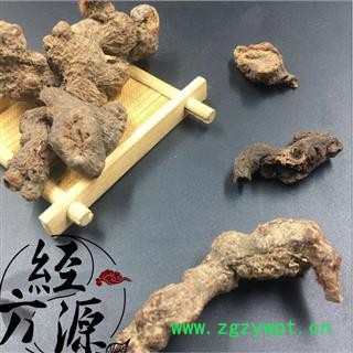 落新婦B 紅升麻統(tǒng) 產地 湖北省