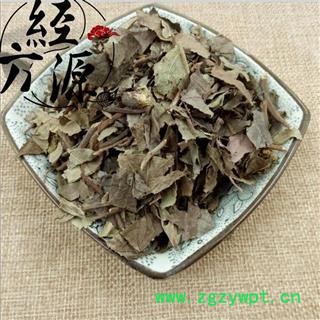 矮地茶C地茶 紫金牛 平地木 老勿大不出林 統(tǒng) 產地 湖南省