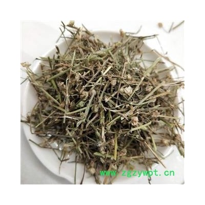 白花舌草 白花蛇草家種統(tǒng)貨 產(chǎn)地 河南省