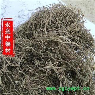 白花蛇舌草 白花蛇舌草家種選貨 產地 河南省南陽市