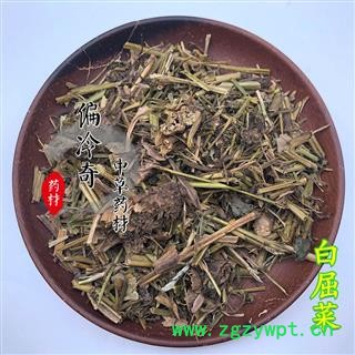 白屈菜 山黃連 牛金花 小野人血草 八步緊 大炮夜 野蔓