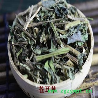 煜庭藥業(yè) 蒼耳草