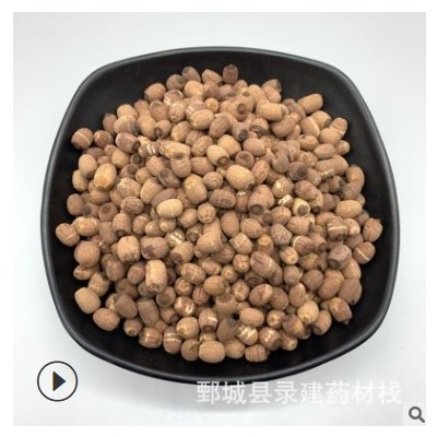 紅蓮子 統裝 500g 產地湖南 錄建藥材棧一站式購物 量大從優