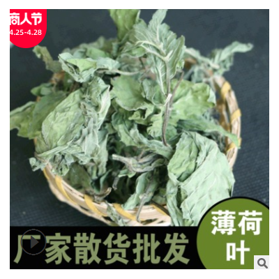 廠(chǎng)家供應(yīng) 薄荷葉批發(fā) 散貨花草茶清涼薄荷茶葉 量大從優(yōu)