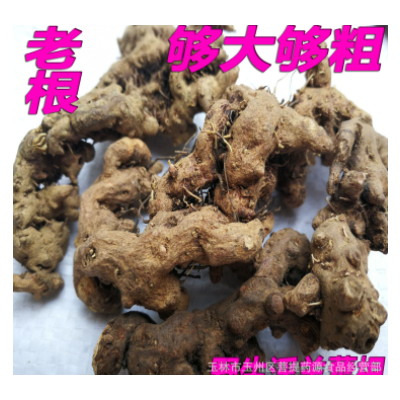 中藥材淫羊藿根 仙靈脾 淫羊霍根 羊角葉根泡酒材料 新貨無(wú)硫