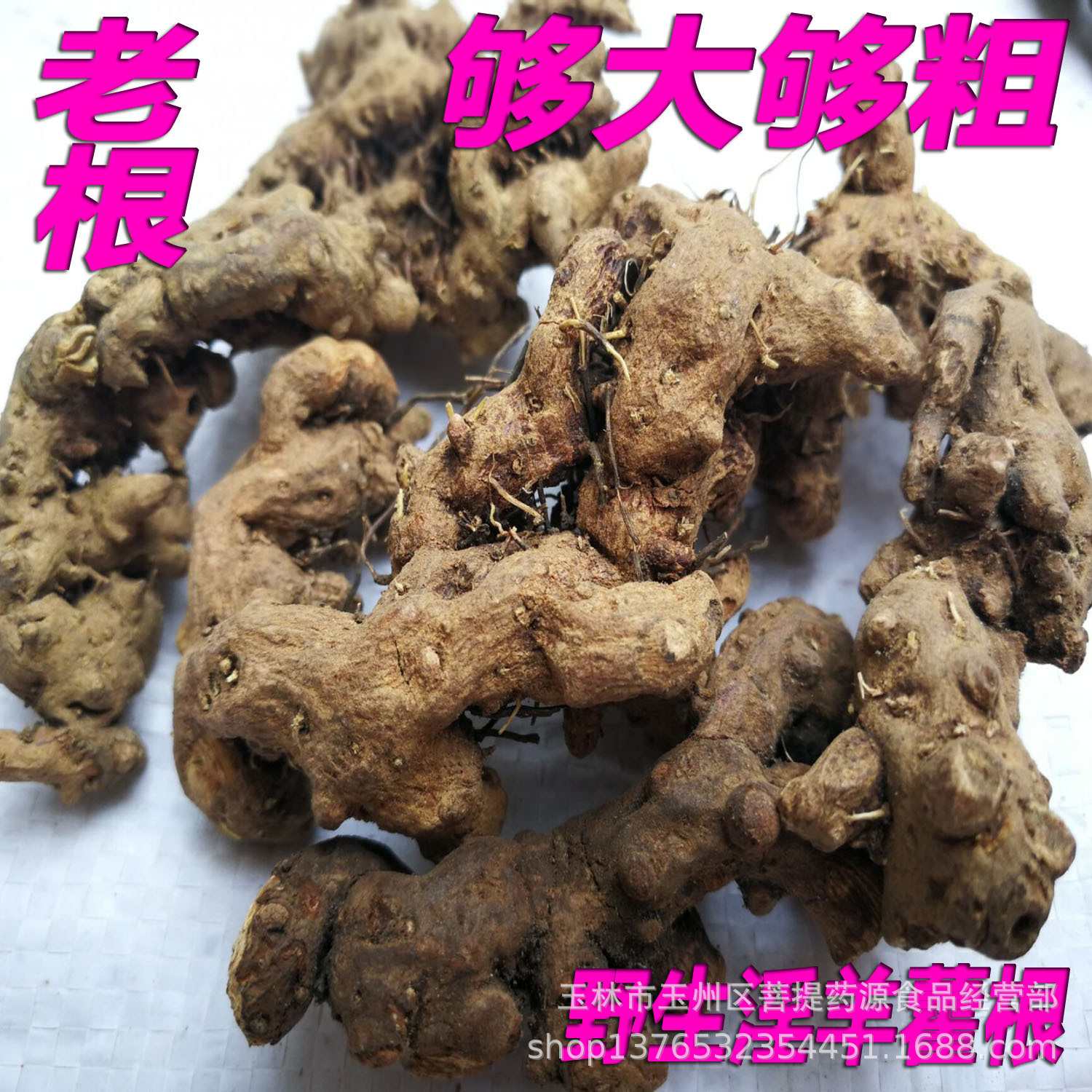 淫羊藿根1