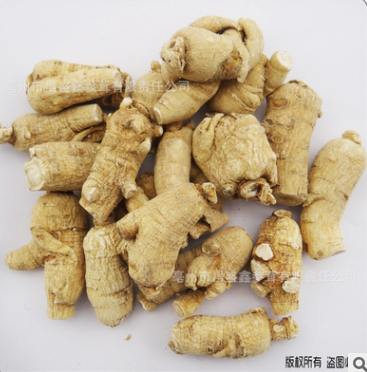 中藥材參茸 批發 國產 硬質 西洋參 獅子頭 15g /段量大從優