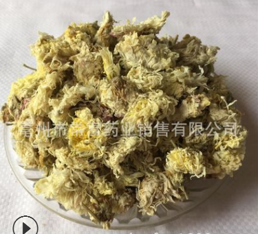 亳菊 熏亳菊花 大量現貨 菊花一件代發