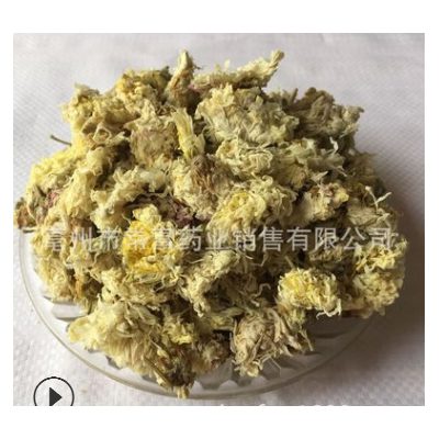 亳菊 熏亳菊花 大量現貨 菊花一件代發